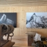 Une vue de l'installation des photographies de Thomas Crauwels dans le refuge